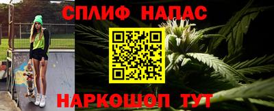 прущие грибы Тара