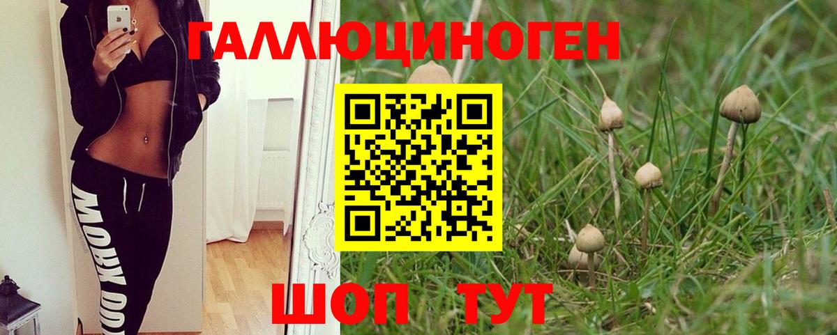 Асбест  Галлюциногенные грибы Cubensis  Вход с VPN 
