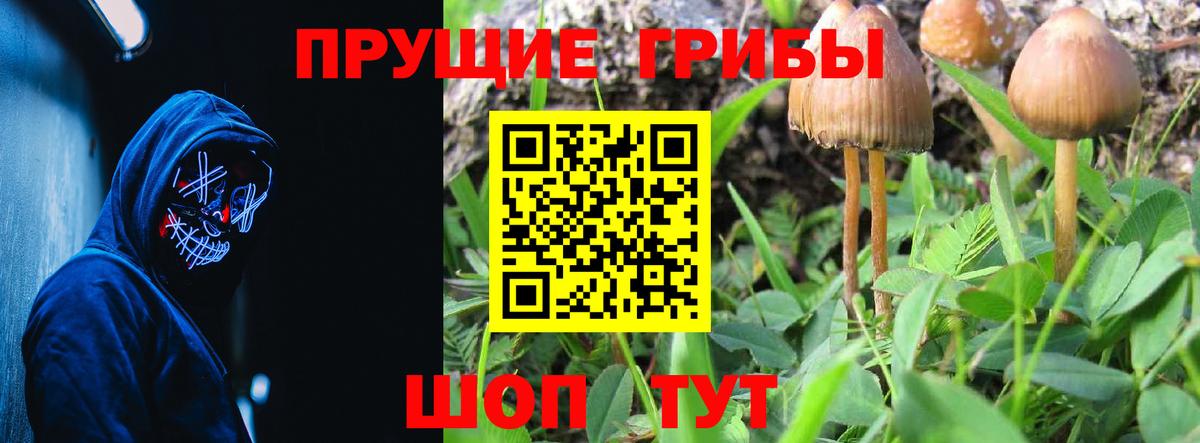 Псилоцибиновые грибы прущие грибы Асбест
